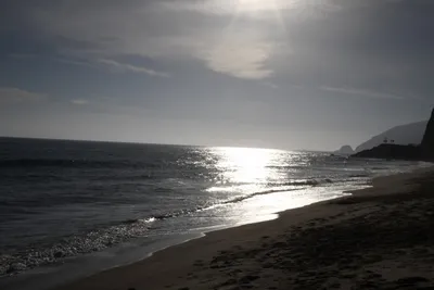 DSC_4135 (Large).JPG